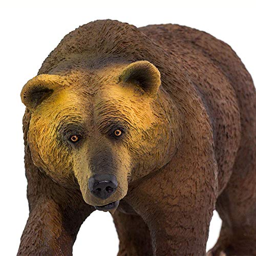 Safari- Oso Grizzly Animales, Multicolor (S100274)