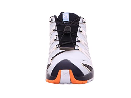 Salomon XA Pro 3D V8 Gore-Tex (impermeable) Mujer Zapatos de trail running, Azul (Plein Air/Marmalade/Night Sky), 39 1/3 EU