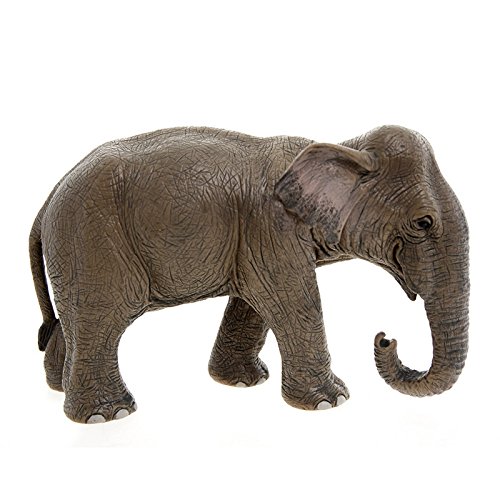 Schleich - Elefante asiático Hembra, Figura (14654)