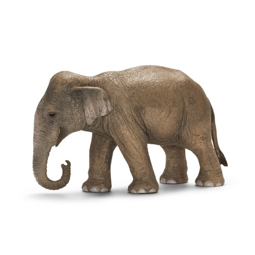 Schleich - Elefante asiático Hembra, Figura (14654)