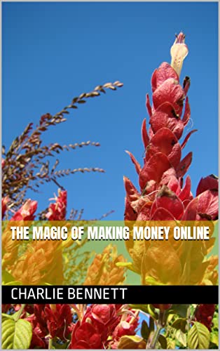 The Magic Of Making Money Online (English Edition)