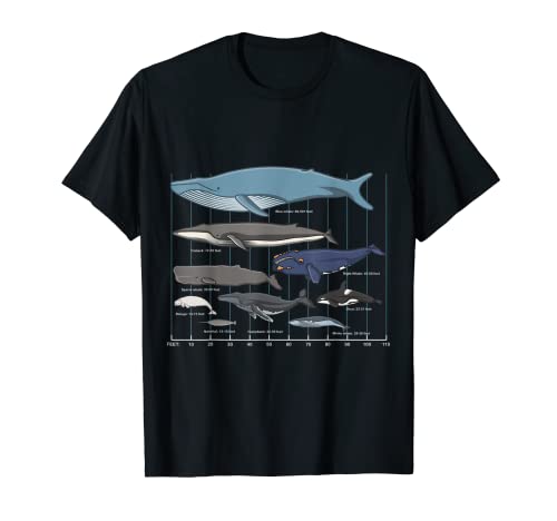 Tipos de ballenas - ballena enorme Camiseta