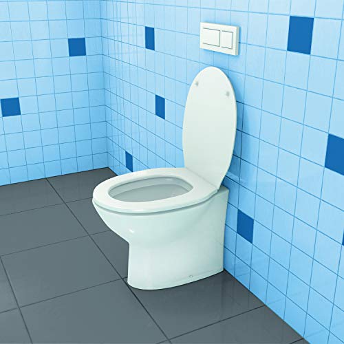 TOX Fijación para inodoros estándar Toilet Plus , 2 piezas, 04510152/S
