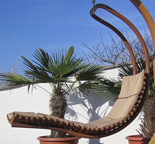 Tumbona colgante Navassa Seat de ASS, de diseño, de madera de alerce/metal, con revestimiento (sin armazón), marrón