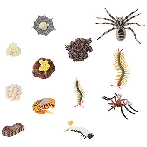 VILLCASE 3 Sets Insectos Ciclo de Crecimiento Mosquito Tarantula Tarantíde Ciclo de Crecimiento Animal Modelo Biológico Modelo de Juguete Modelo de Juguete para Niños Ciencia Naturaleza