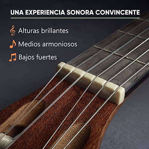 Villkin - Cuerdas de guitarra - cuerdas de nylon para guitarras clásicas, de concierto y acústicas - juego de 6 cuerdas