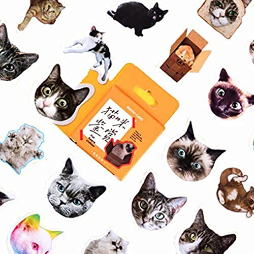 Wiki Fiesta - Mini Pegatinas de Gato con diseño de Gatitos, Stickers de Gatito, Sticker de Gato para niños, Scrapbooking, bicleta, Skateboard, teléfono, Adhesivos para niña, felinos (Lote de 46)