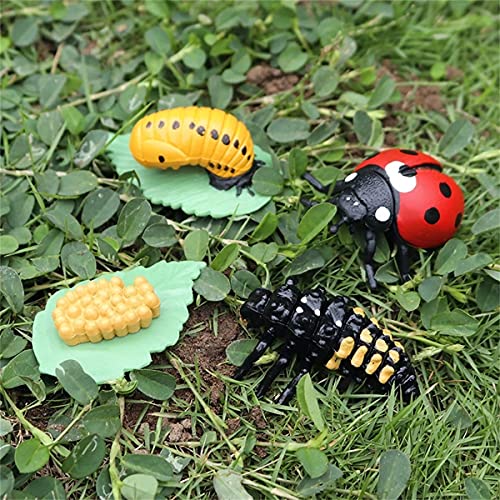 XIAOKEKE 5/6 Juegos De Figuras De Animales Mariposa Mariquita Rana Ciclo De Vida Plástico Realista Modelo De Insectos Juguetes Educativos para Niños Pequeños Niños De Colores Surtidos,A