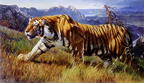 YJPZZG Rompecabezas De Madera 4000 Piezas Tigre Siberiano Edad Recomendada 12+ Tamaño Final 141×87cm