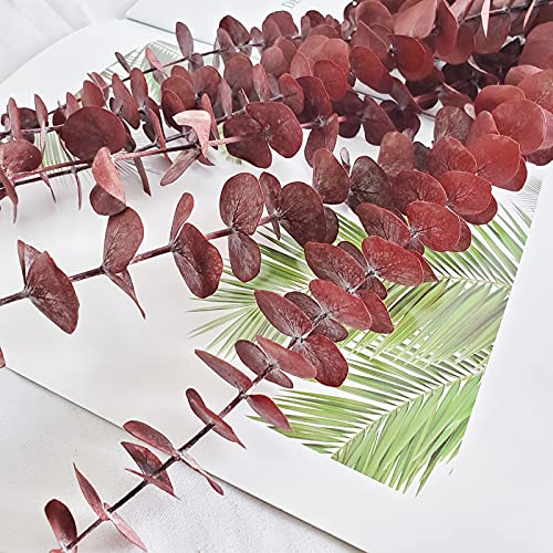 10 ramas de eucalipto frescas preservadas, las varillas de eucalipto secas para la floración y la decoración de la casa de boda (rojo)