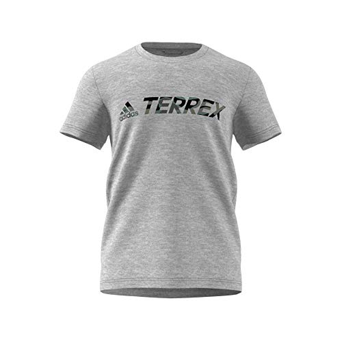 adidas Terrex CAM tee Camiseta, Hombre, brgrin, XS