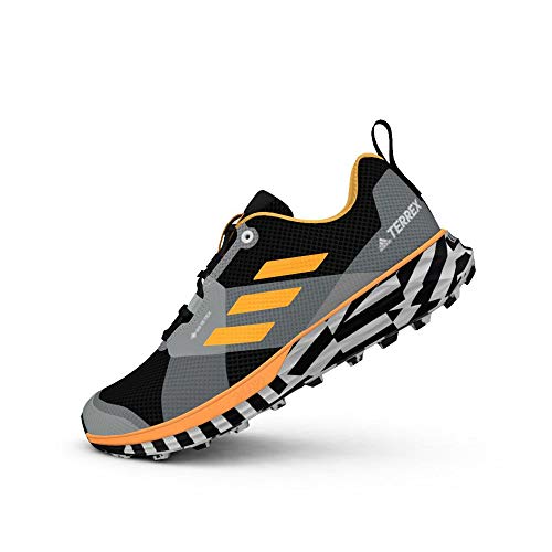 adidas Terrex Two GTX, Zapatillas de Running Hombre, Dorsol/NEGBÁS/FTWBLA, 41 1/3 EU