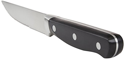 Amazon Basics - Juego de 8 cuchillos de carne