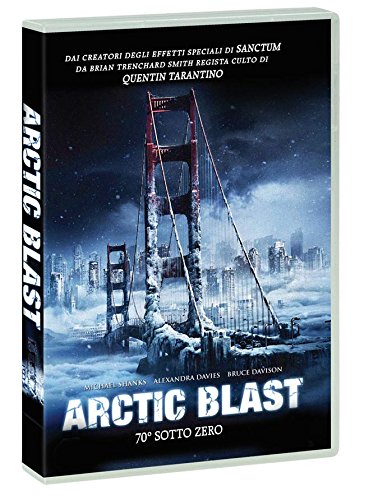 Arctic Blast [Italia] [DVD]