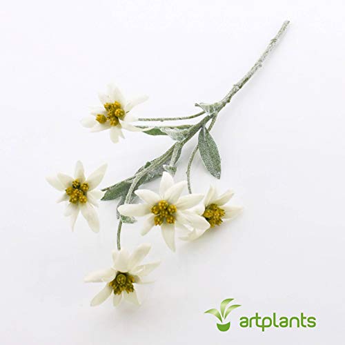 artplants.de Edelweiß de los Alpes Artificial Sophia con 5 Flores, Blanco, 40cm - Leontopodium alpinum - Planta sintética