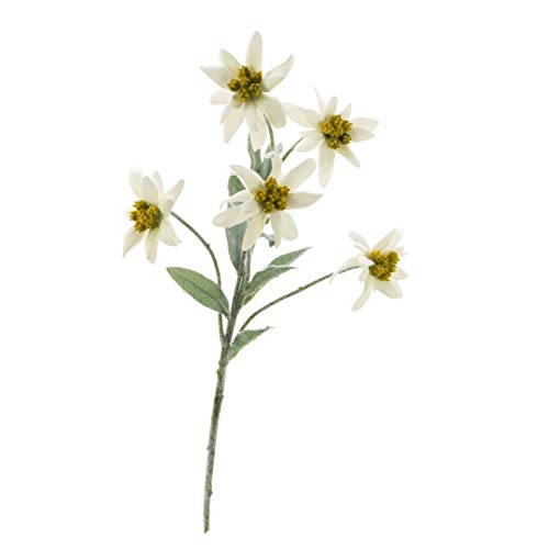 artplants.de Edelweiß de los Alpes Artificial Sophia con 5 Flores, Blanco, 40cm - Leontopodium alpinum - Planta sintética