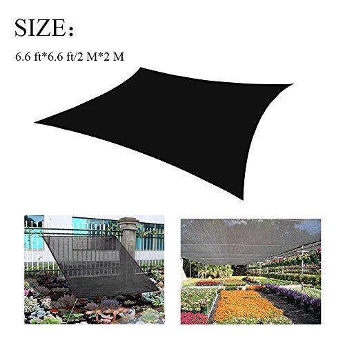 BeGrit Negro Bloqueador Solar de Malla Resistente a los Rayos UV, para Estanque, Red para jardín o Planta,Tasa de sombreado 50% (2 Metros * 2 Metros)