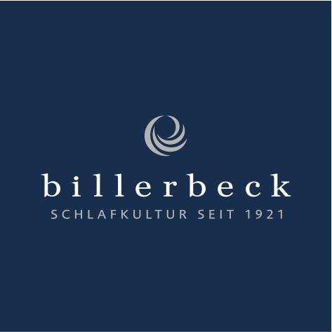 Billerbeck Eider nº 1 batista almohada, 3 Cámaras – BATISTA Eider Plumón. Deluxe, 100% algodón, seda, Alt Weiß, 40 x 80 cm