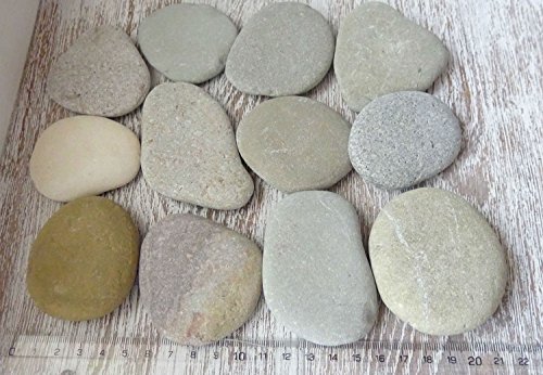 DIY Art Studio ZenStones/1 kg Piedras planas/piedras marinas/piedras/piedras decorativas/piedras de mandala/casco/piedras de playa/piedras artísticas/decoración de playa/arte de playa
