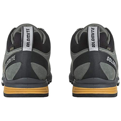Dolomite Zapato Diagonal Pro GTX, Zapatillas Deportivas Unisex Adulto, SIL Gr Su Ye, 40 EU