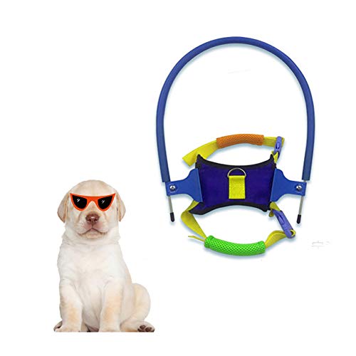 EFINNY Arnés de halo, seguro para mascotas, para perros ciegos, anillo de chaleco protector suave para perros, evita colisiones en la pared