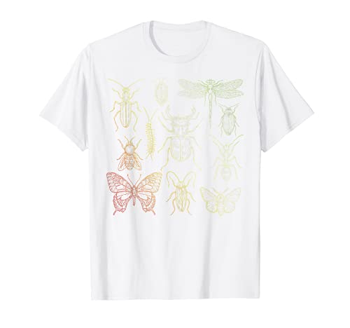 Entomología Coleccionista De Insectos Bichos Escarabajo Camiseta