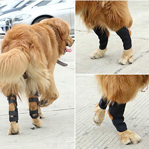 Faderr 2 soportes traseros para patas de perro, soportes para patas traseras de perro, para perros y patas traseras de perro