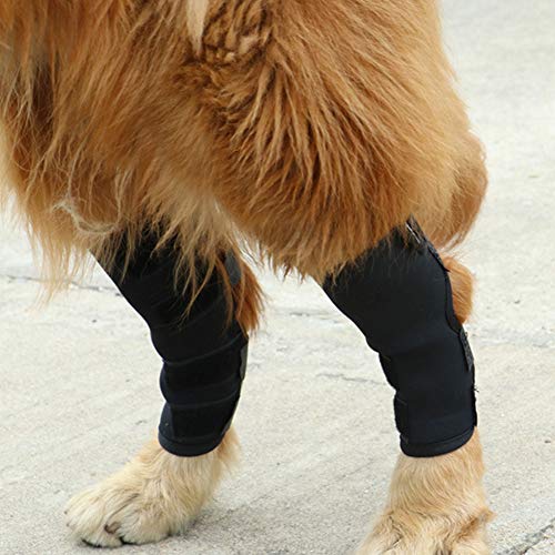 Faderr 2 soportes traseros para patas de perro, soportes para patas traseras de perro, para perros y patas traseras de perro