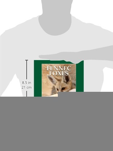 Fennec Foxes: Wily Desert Hunters (the My Favorite Animals series)
