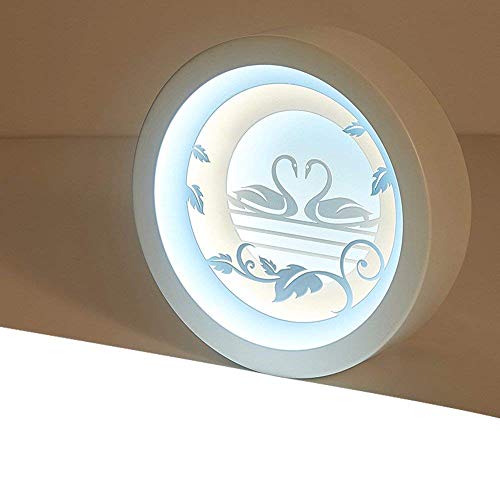 GZZ Deng Home Iluminación para Exteriores Luz de Techo Moderno Minimalista Led Corredor Lámparas Living Room Corredor 20X8Cm Swan