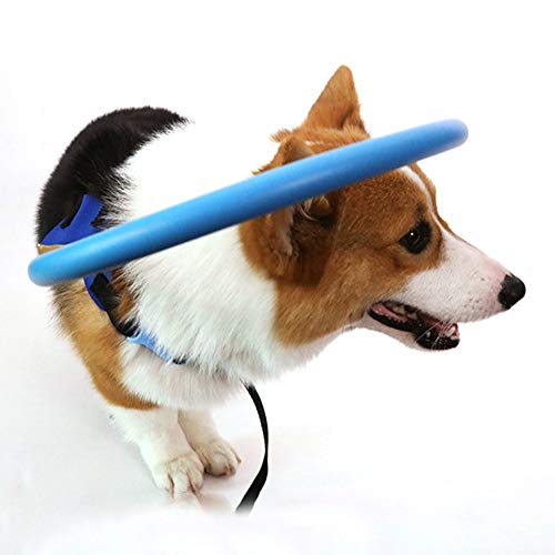 Hankyky - Arnés de halo seguro para perros ciegos, chaleco de protección seguro para perros con ojos enfermos para evitar colisiones