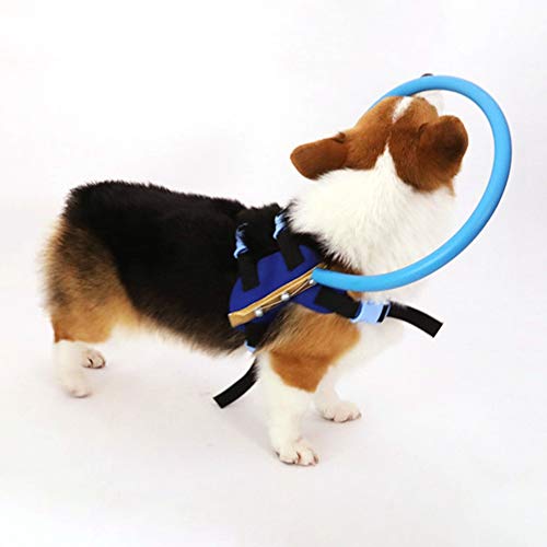 Hankyky - Arnés de halo seguro para perros ciegos, chaleco de protección seguro para perros con ojos enfermos para evitar colisiones