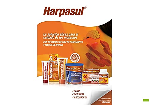Harpasul® Gel Con Silicio Órganico - Natysal - 500 ml.