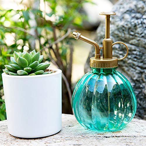 Hemore Mini Plant Mister Botella de agua decorativa de cristal con bomba superior, pequeña regadera para plantas en macetas de interior, 1 unidad, color verde