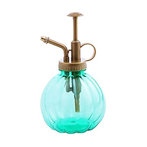 Hemore Mini Plant Mister Botella de agua decorativa de cristal con bomba superior, pequeña regadera para plantas en macetas de interior, 1 unidad, color verde
