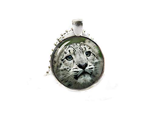 Heng yuan tian cheng collar de leopardo con diseño de cachorro de leopardo