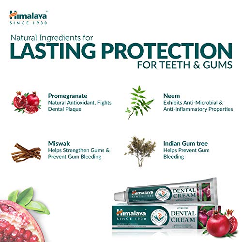 Himalaya Ayurvedic Dental Cream Herbal Toothpaste - Neem & pomegranate Gum protection |Helps fight Plague, Cavity and prevents tooth decay | with natural fluoride - 100g ( Pack of 3)
