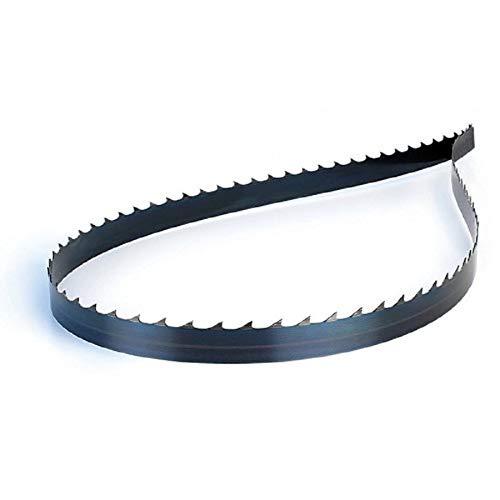 Hoja para sierra de cinta de acero al carbono con dientes templados y dorso, flexible de 1575 mm x 10 mm x 0,36 mm dientes para pulgada 10