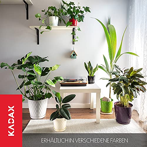 KADAX Maceta decorativa para flores y plantas con platillo, material ligero y resistente, 14 cm, gris