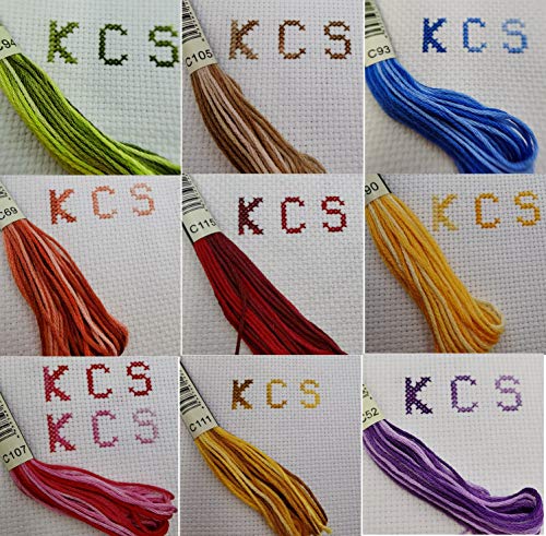 KCS 9 madejas de 6 hebras de hilo de bordado de algodón variado + 1 madeja de hilo metálico brillante (B)