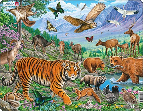 Larsen FH39 El Tigre de Amur en Verano Siberiano, Puzzle de Marco con 36 Piezas