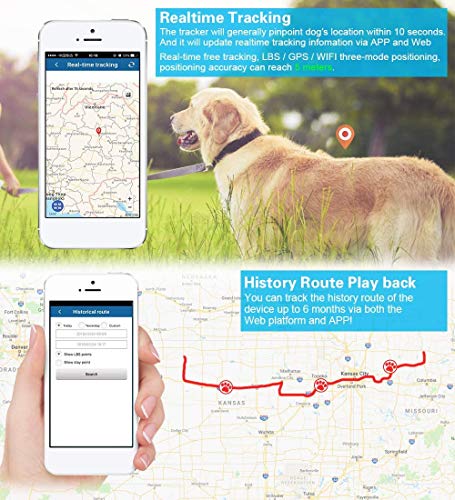 Localizador GPS para Perros y Gatos,Rastreador GPS Tiempo Real Localizador de Dispositivos Historial de Ruta Impermeable App Gratuita