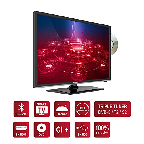 MobileTV Silverline - Smart TV de 22 pulgadas, 55 cm, Android, 12/24 V, DVD