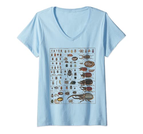 Mujer Colección Insectos Especies Bichos Gráfico Entomología Camiseta Cuello V