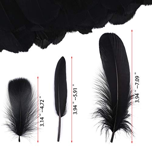 Mwoot Black Feathers Plumas de Ganso, 250pcs Negro Natural Plumas de Gallo Manualidades Decoración para Disfraces Hats, Hogar Bricolaje, Ropa Casa Fiesta (accesorio de disfraz)