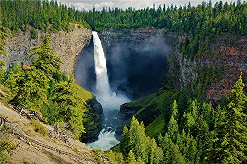 N\A Puzzle Jigsaw Rompecabezas De 500 Piezas Canada Parks Forests Waterfalls Helmcken Falls para Amigo Adulto