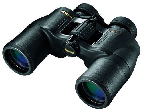 Nikon 8246 Aculon A211 10 x 42 – Prismáticos (Negro)