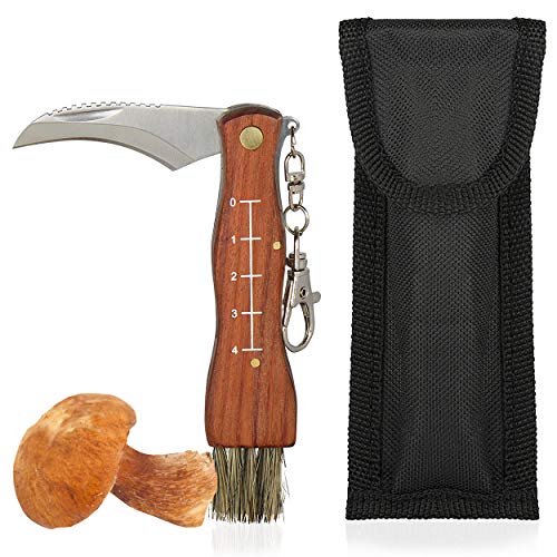 Oramics - Navaja para setas con cepillo y regla, mango de madera, hoja de acero inoxidable, navaja de bolsillo para champiñones y trufas, color natural marrón