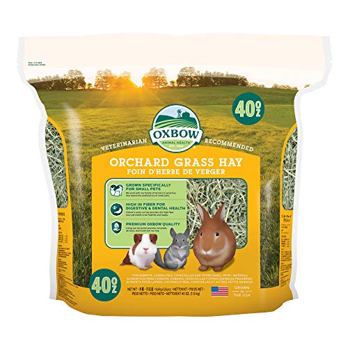 Orchard Grass Heno para Mascotas pequeñas Oxbow, 1,13 kg