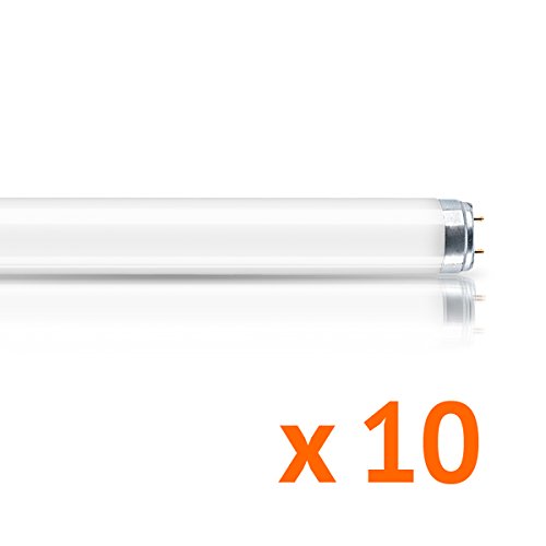 Osram Tubo Fluorescente LUMILUX T8 regulable G13/36 W, neón (120 cm de longitud, luz fría - 4000 K, 10 unidades)